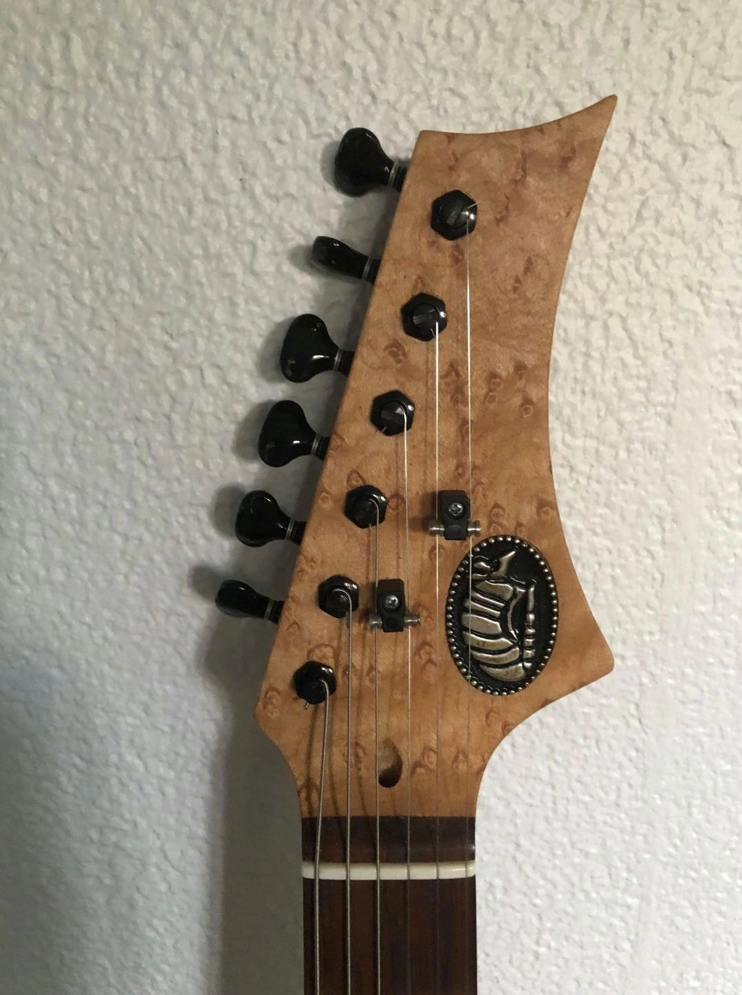 to the Blind Armadillo Guitars blog